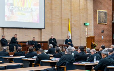 Asamblea Plenaria DP