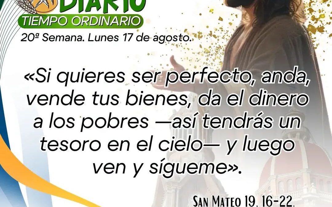 Feleite Diario