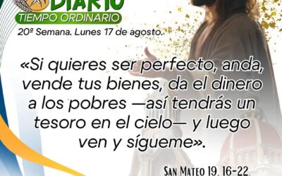 Feleite Diario